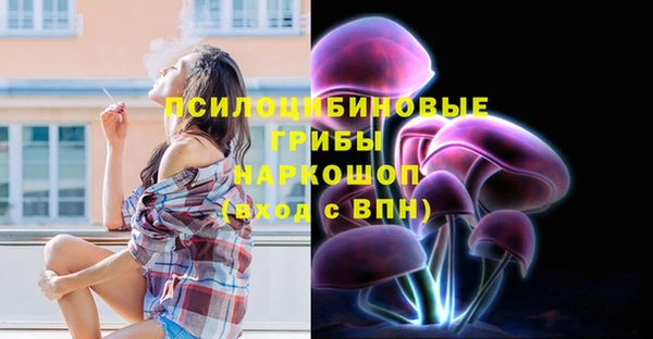 молекула духа Аркадак