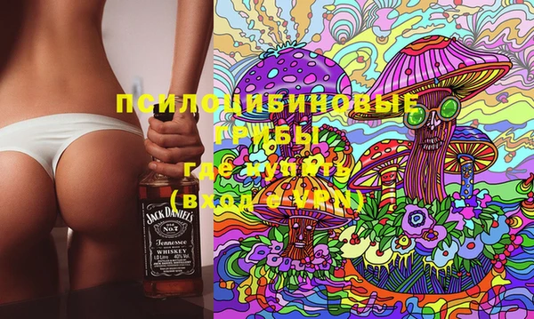 молекула духа Аркадак
